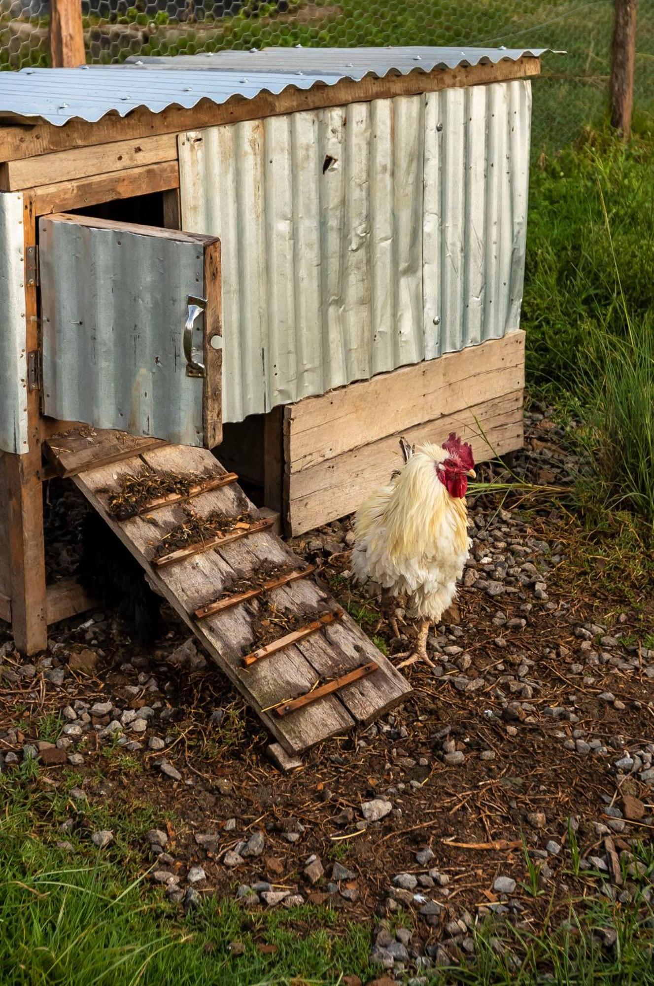 Mount Kenya Farm Stay Nanyuki Exterior foto